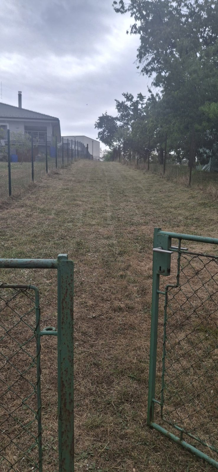 Fotka z portfólia