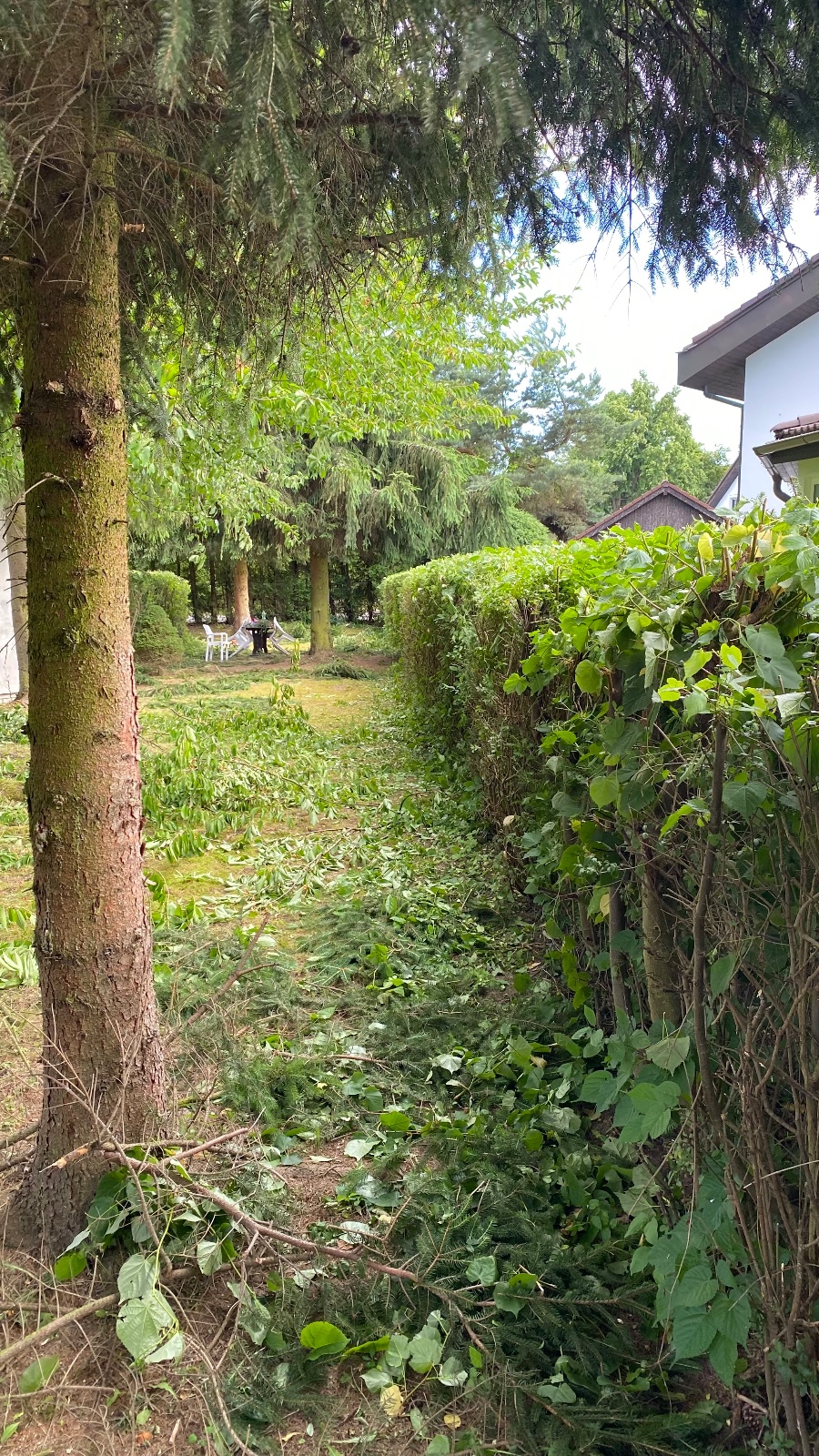 Fotka z portfolia