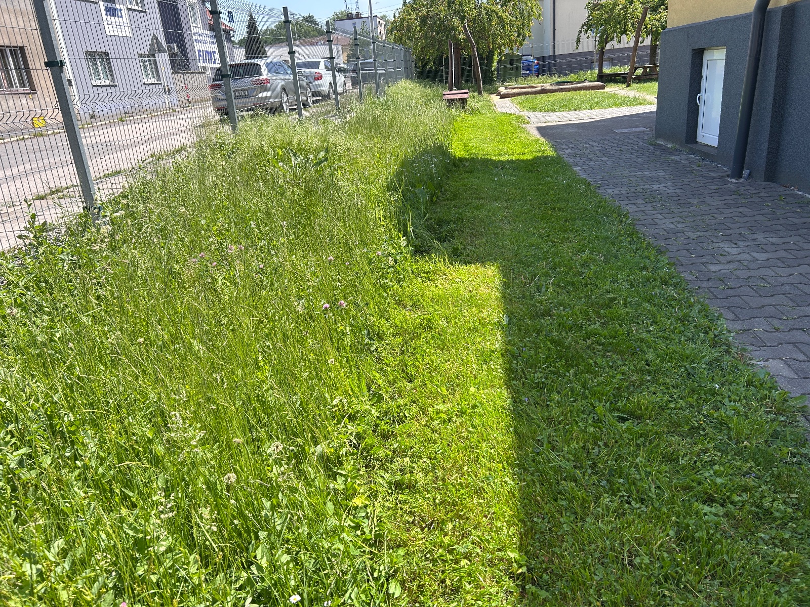 Fotka z portfolia