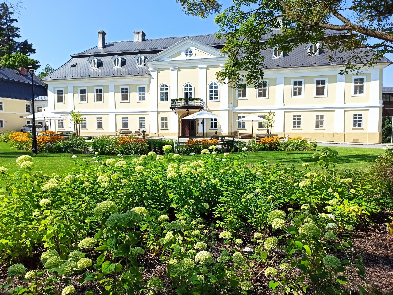 Portfolio-Foto