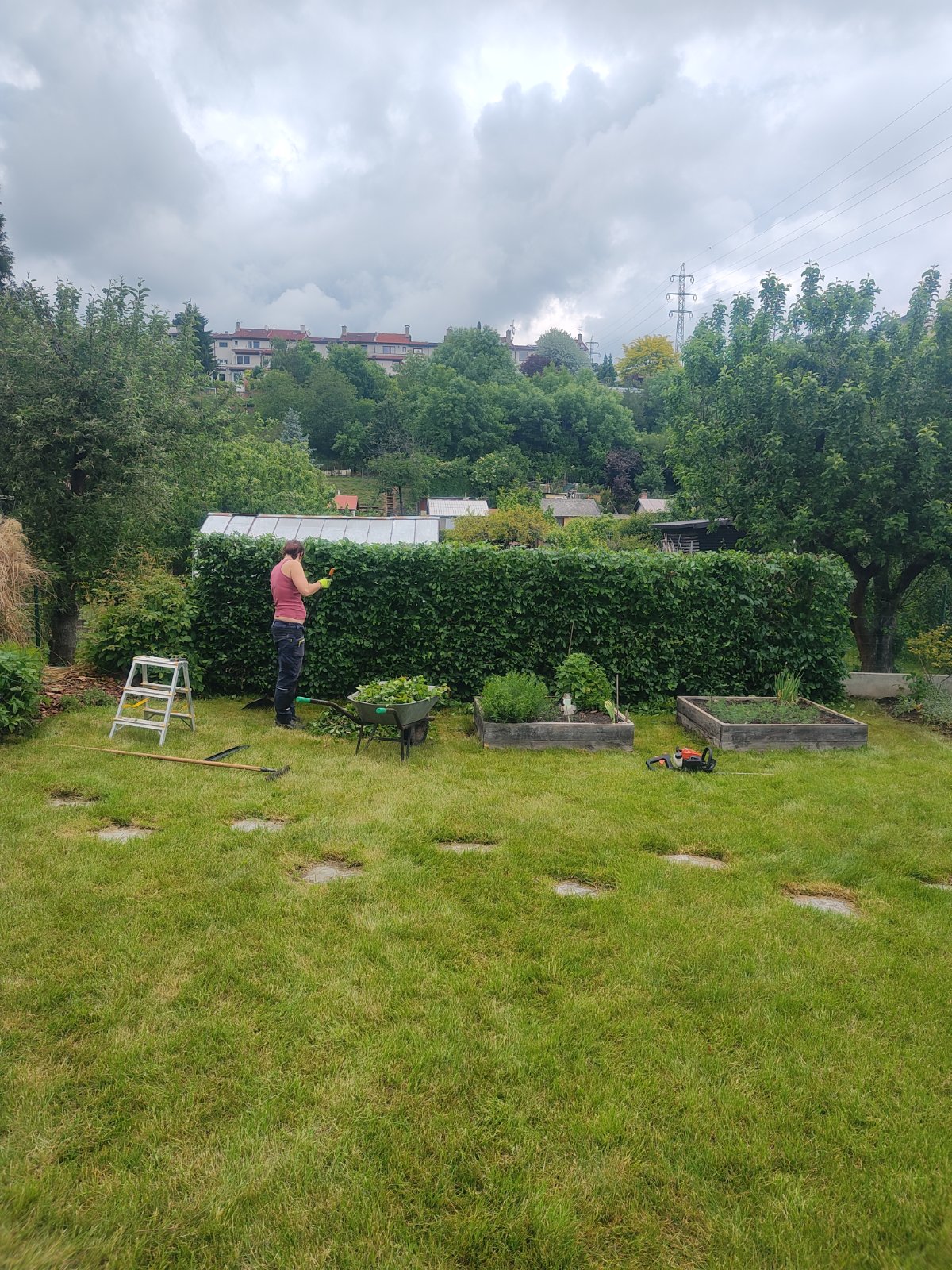 FOX Garden